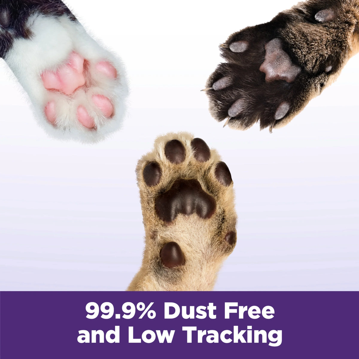 Clumping Cat Litter, 14 lbs V29731