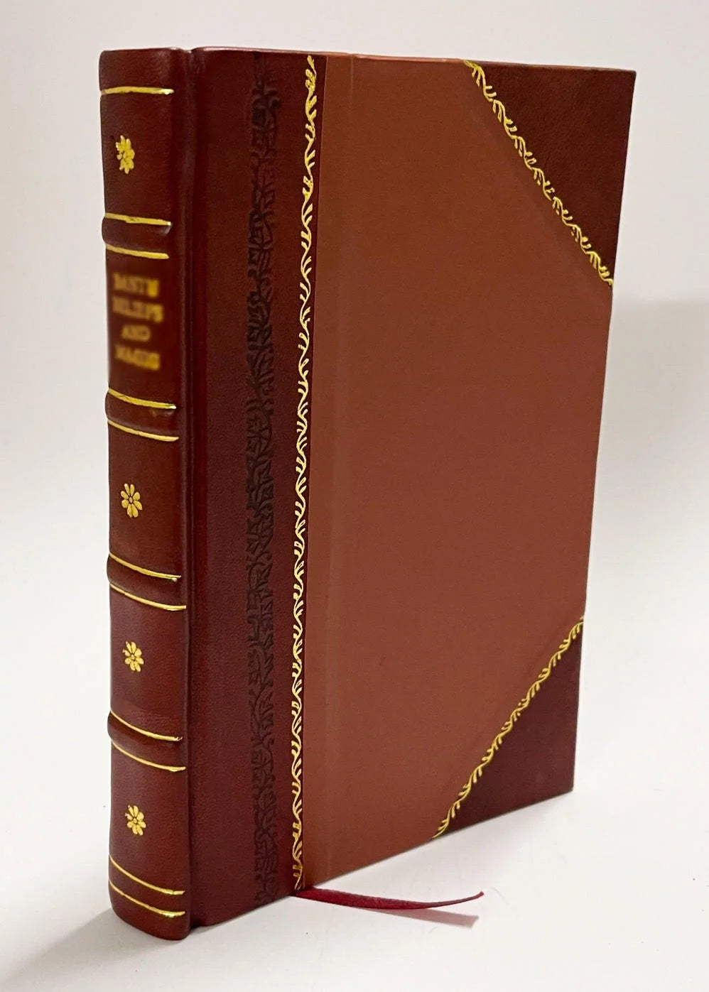 Leather Bound Book G366159