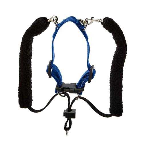 Training Halter Y453