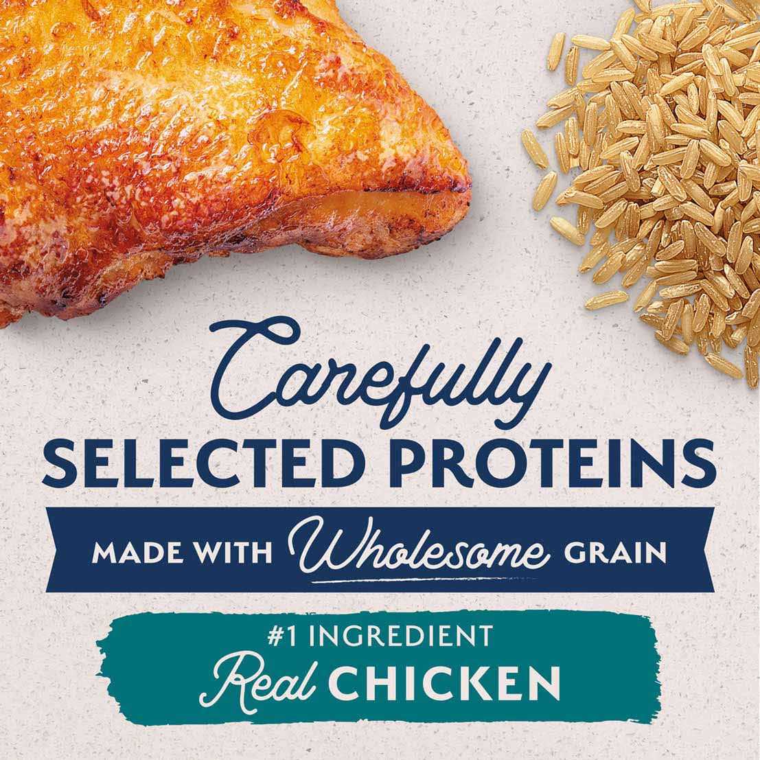 Limited Ingredient Dog Food D439684
