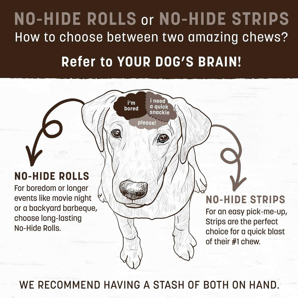 Dog No Hide Salmon Y646017