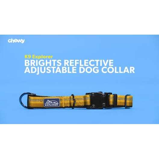 Reflective Adjustable Dog Collar W81045