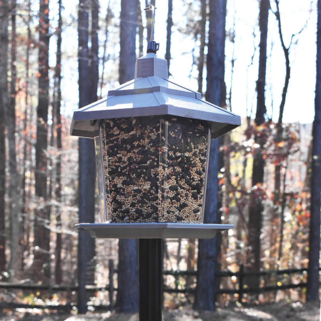 Gray Plastic 2.5 lb. Capacity Hopper Wild Bird Feeder F530
