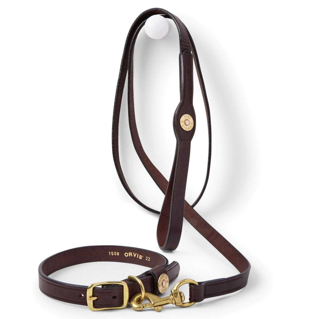 Dog Collar and Leash R29072