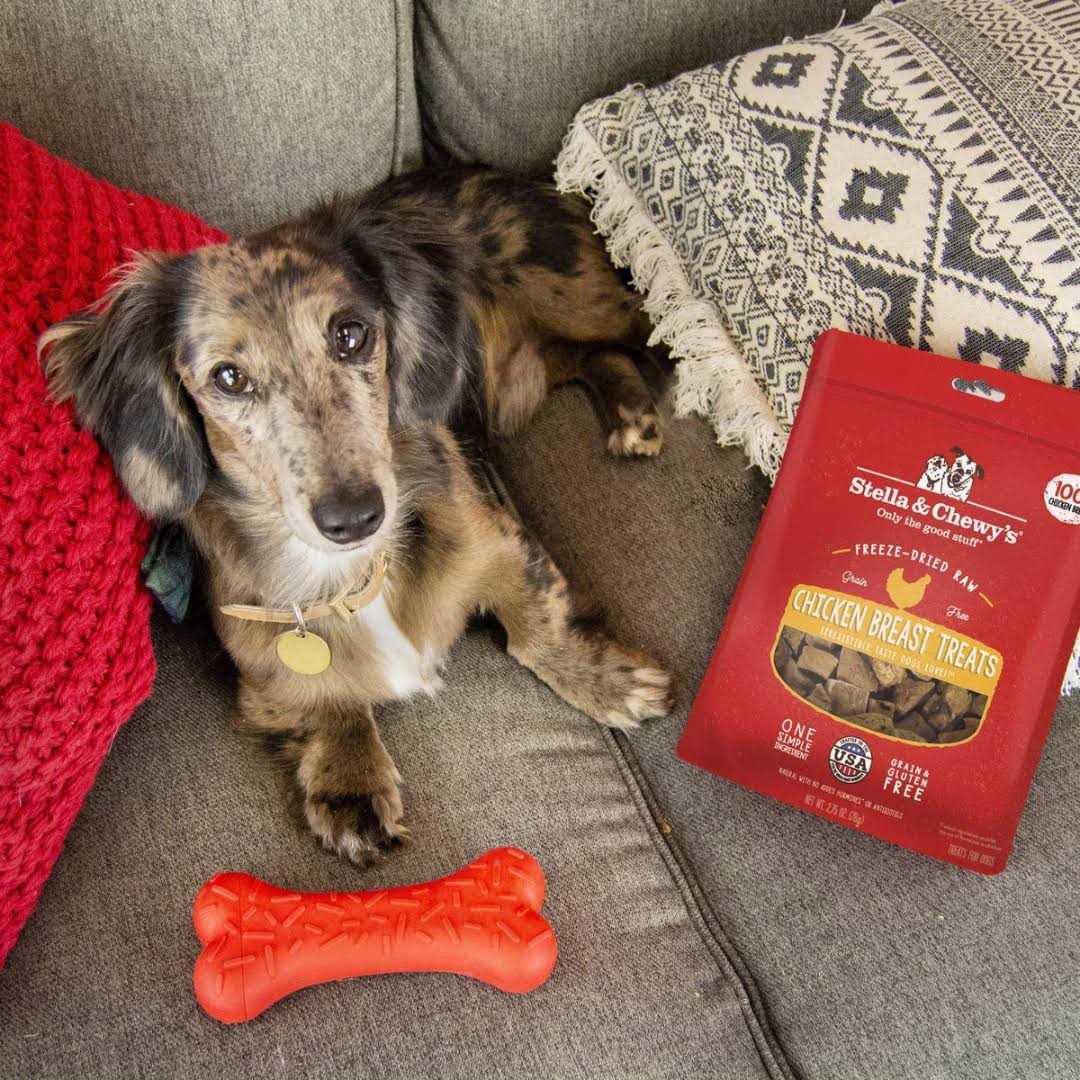 Chicken Freeze Dried Dog Treats D835