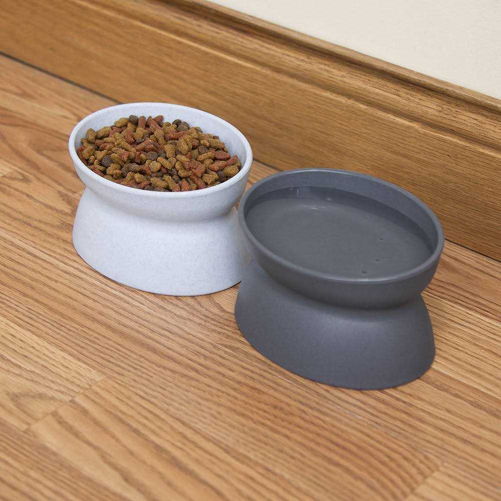 Raised Cat Food Bowl and Waterer X23696