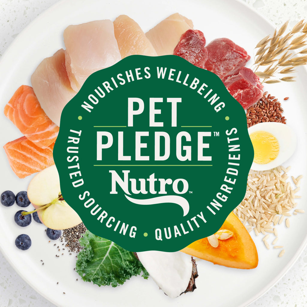 Adult Dry Dog Food With Chicken, Lamb And Salmon, 4 Lb. Bag R99873