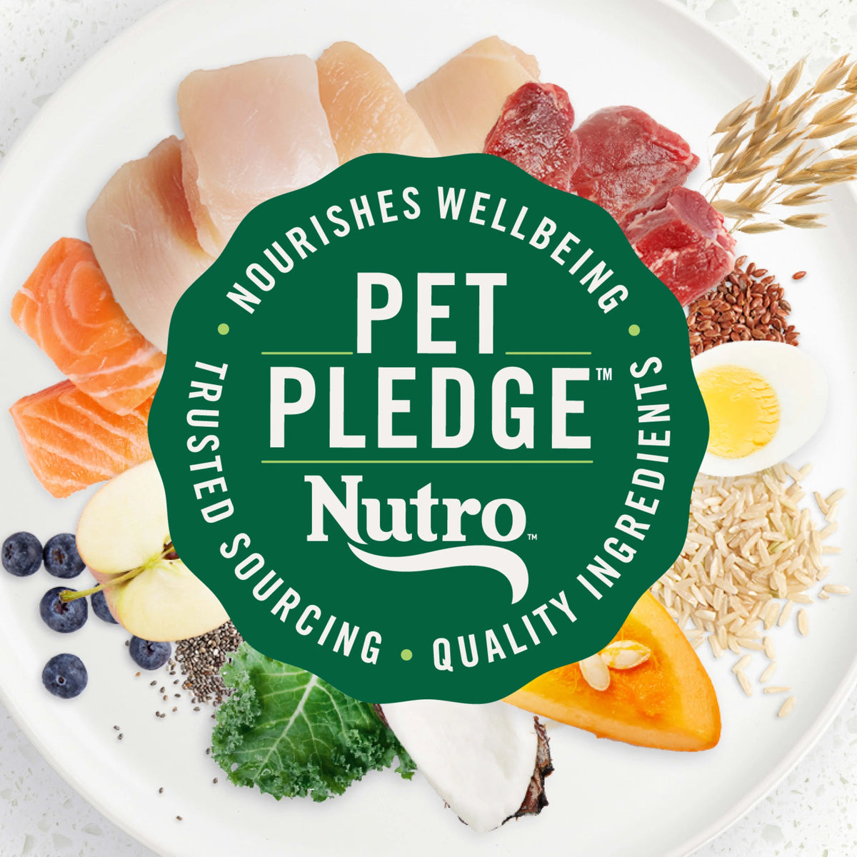 Adult Dry Dog Food With Chicken, Lamb And Salmon, 4 Lb. Bag R99873