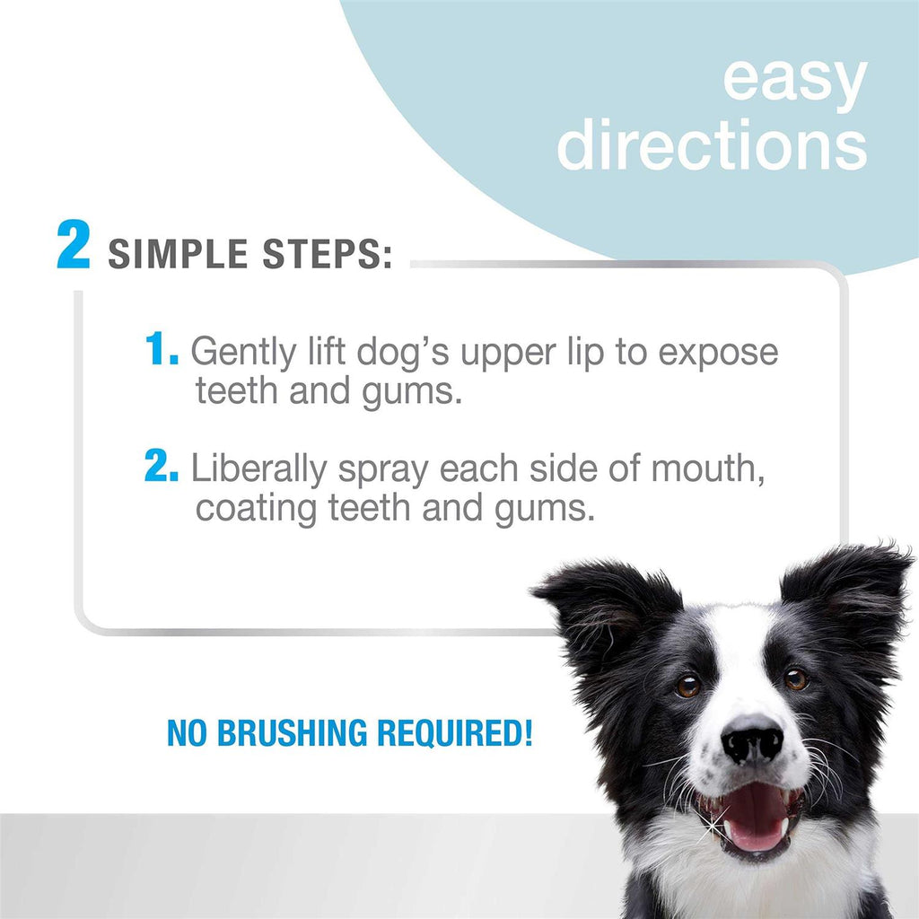 Advanced Oral Care Dental Spray V45381