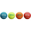 Squeaker Ballz Dog Toy C841