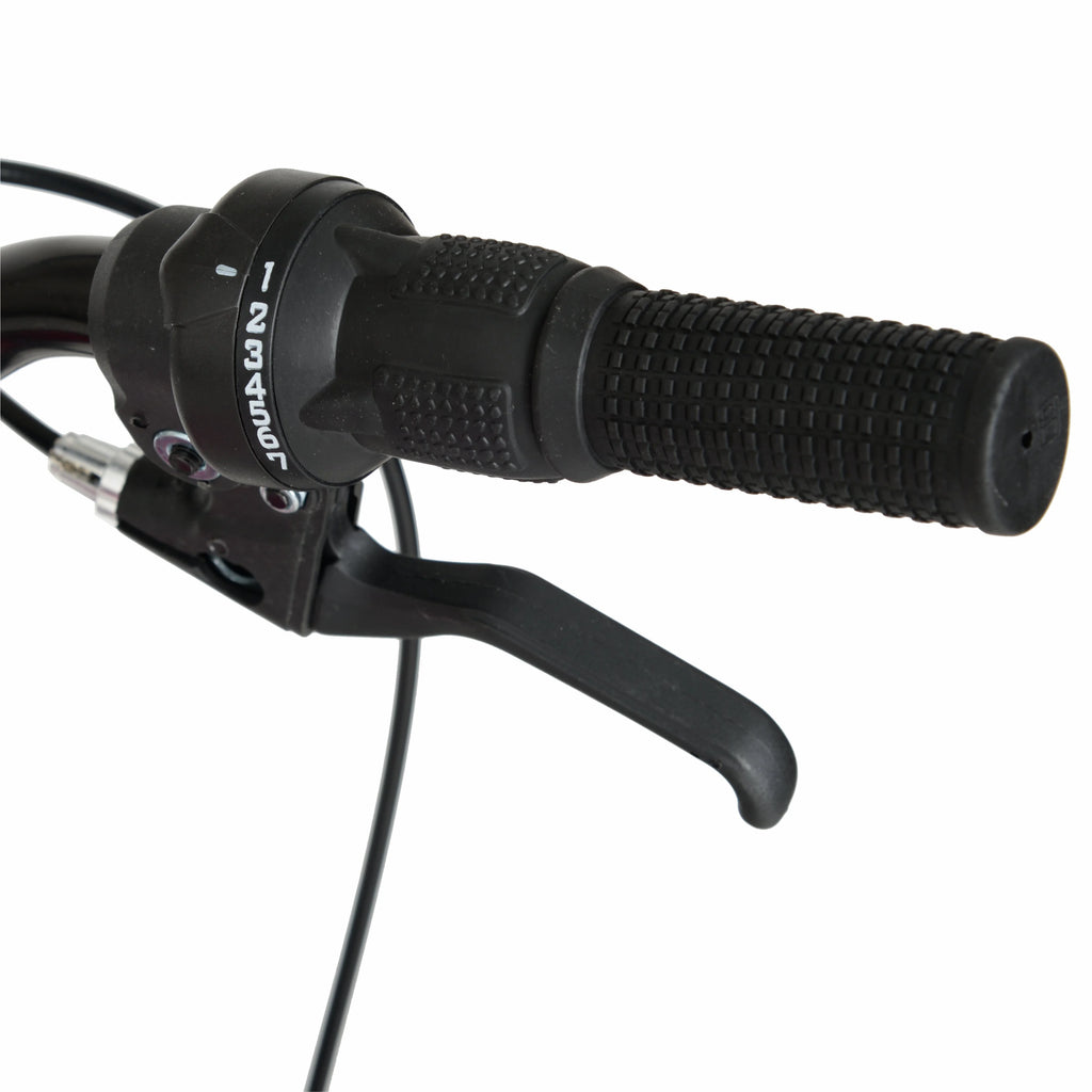 20 Girl's Mountain Bike Y310273