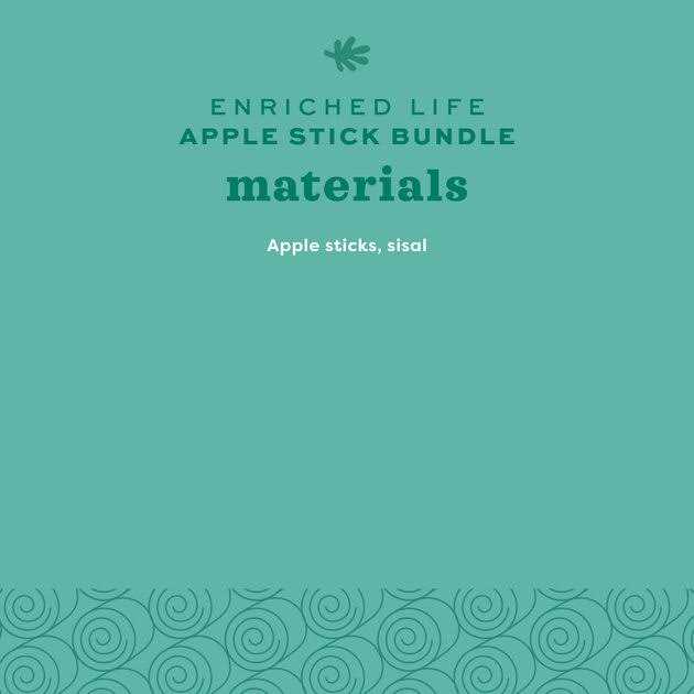 Apple Stick Bundle E740674