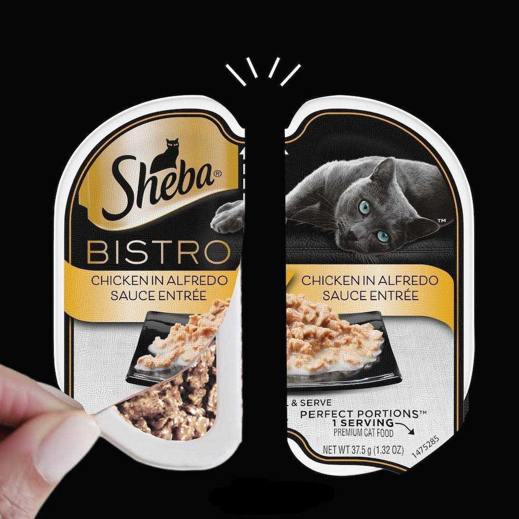 Chicken in Alfredo Sauce Wet Cat Food I2468