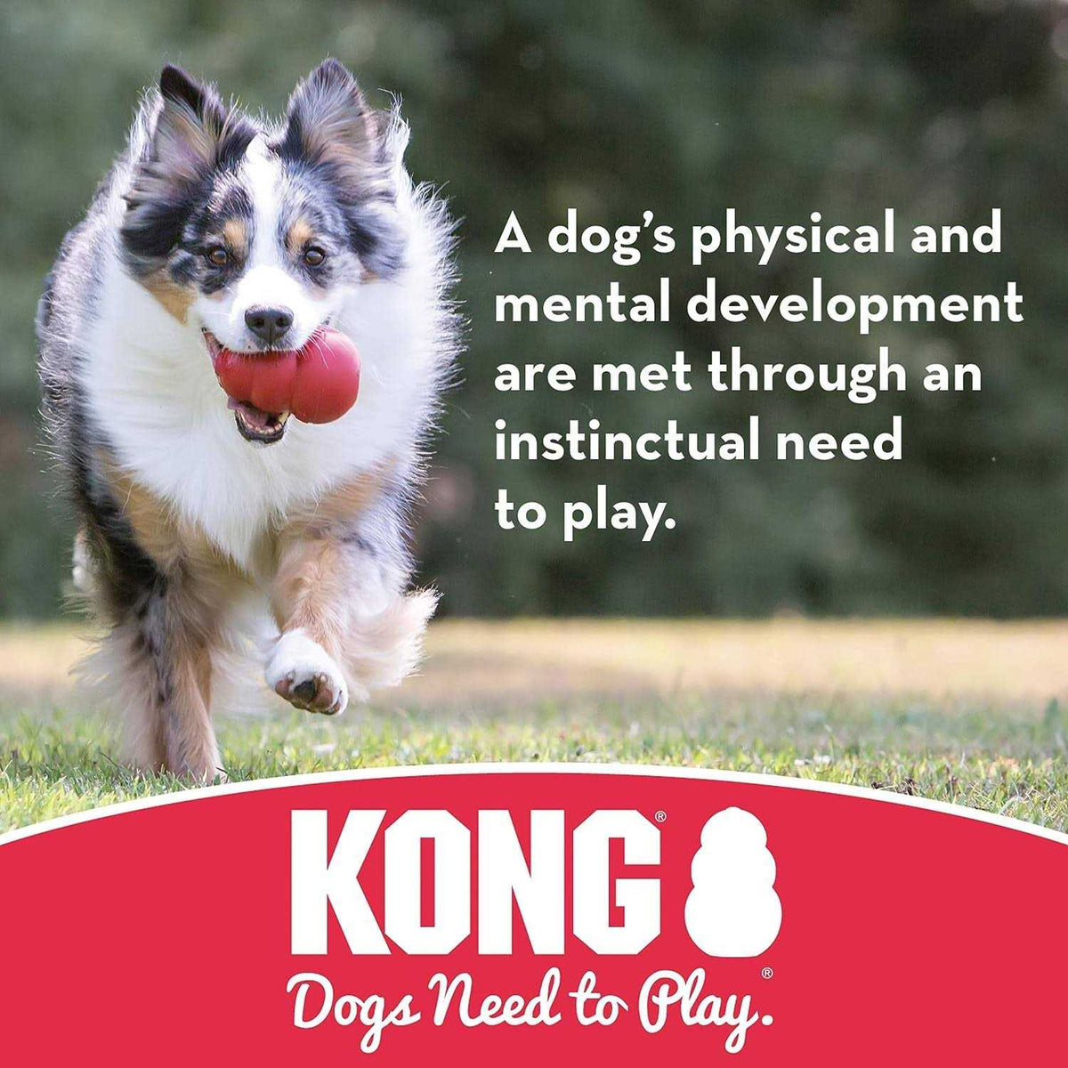 Dog Toy Ball L65712
