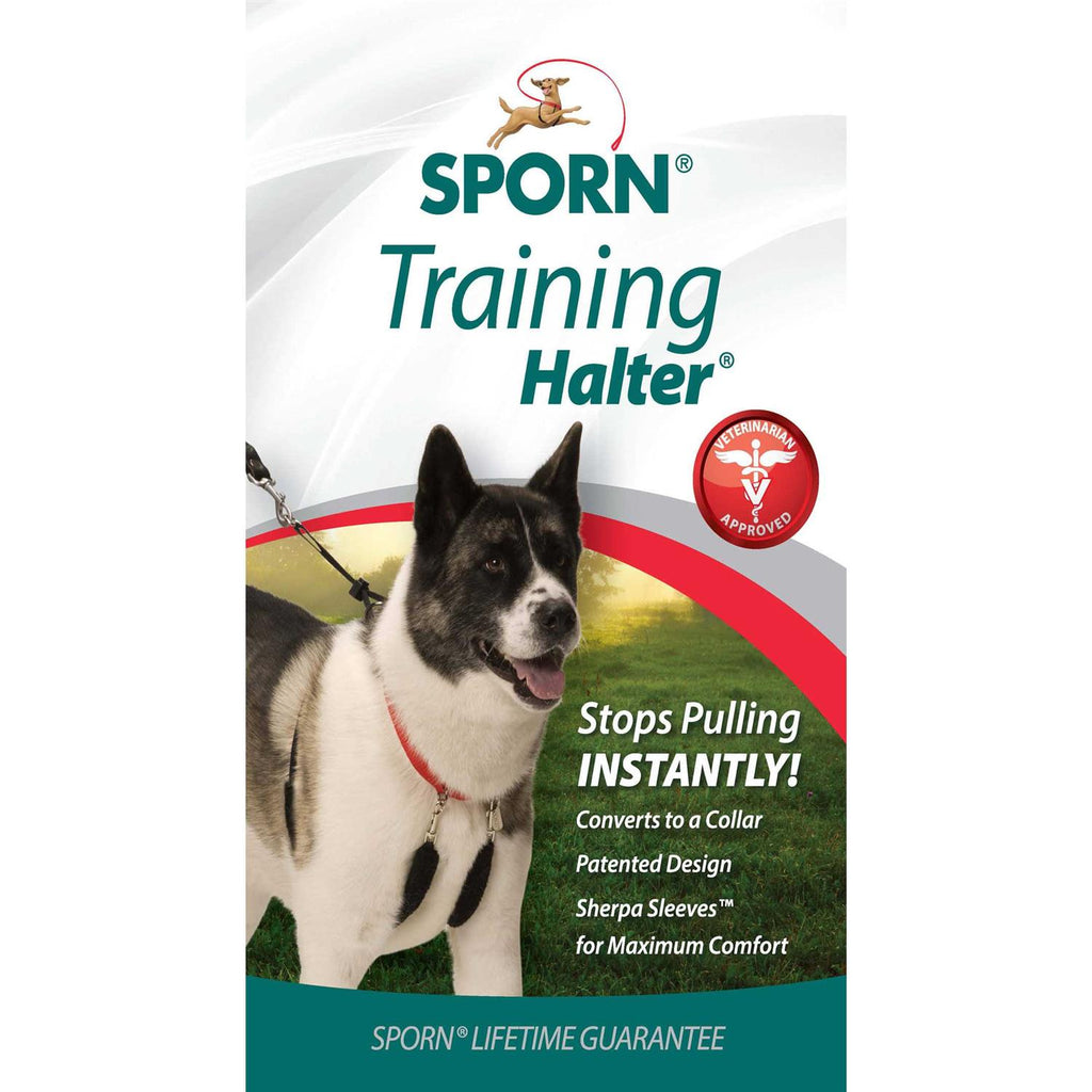 Training Halter Y453