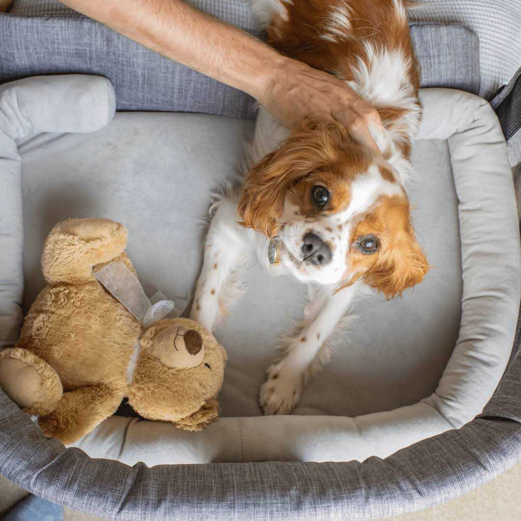 Pet Bed Co-Sleeper D877