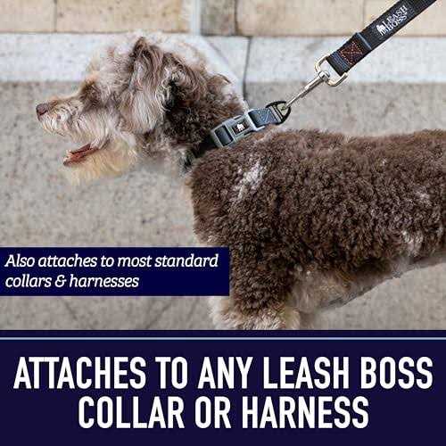 10 Foot Dog Leash with Padded Handle V912664