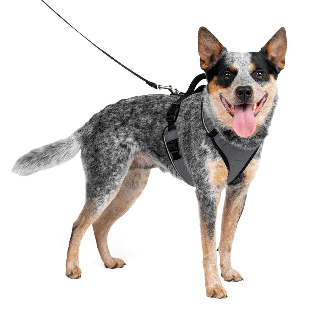 Dog Harness D8406