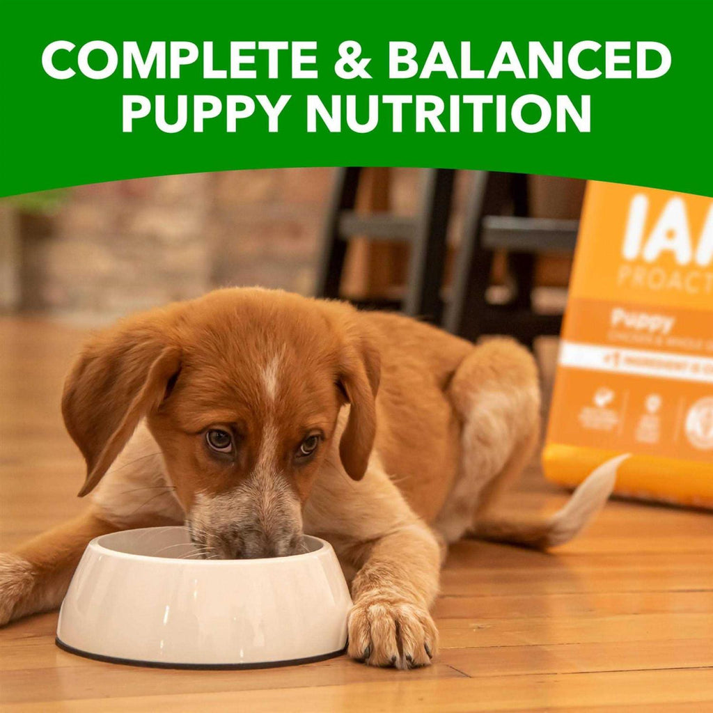 Dry Dog Food V130241