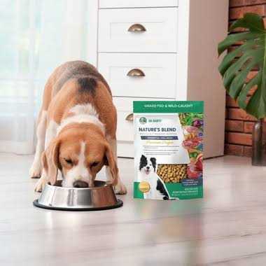 Freeze-Dried Dog Food X752507