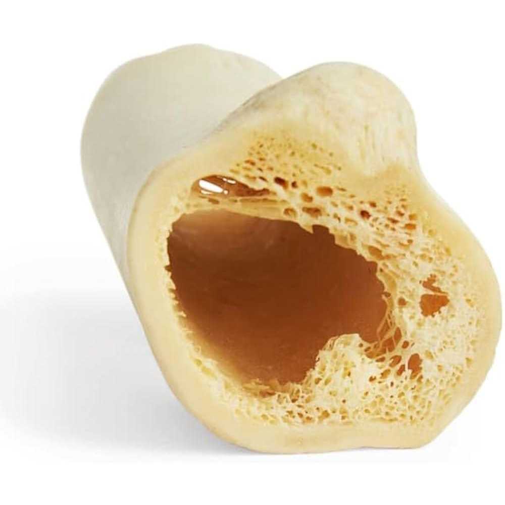 Hollow Bone for Dogs S4370