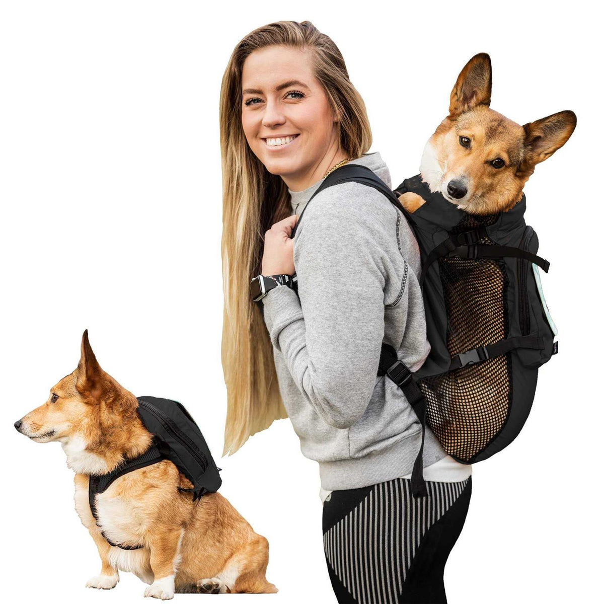 Dog Harness with Storage W112