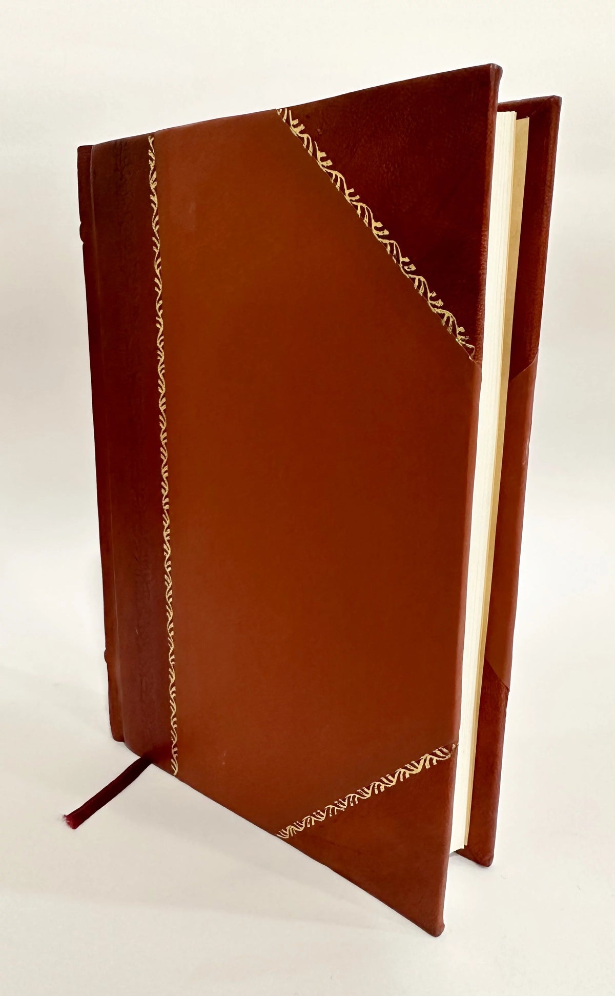 Leather Bound Book G366159