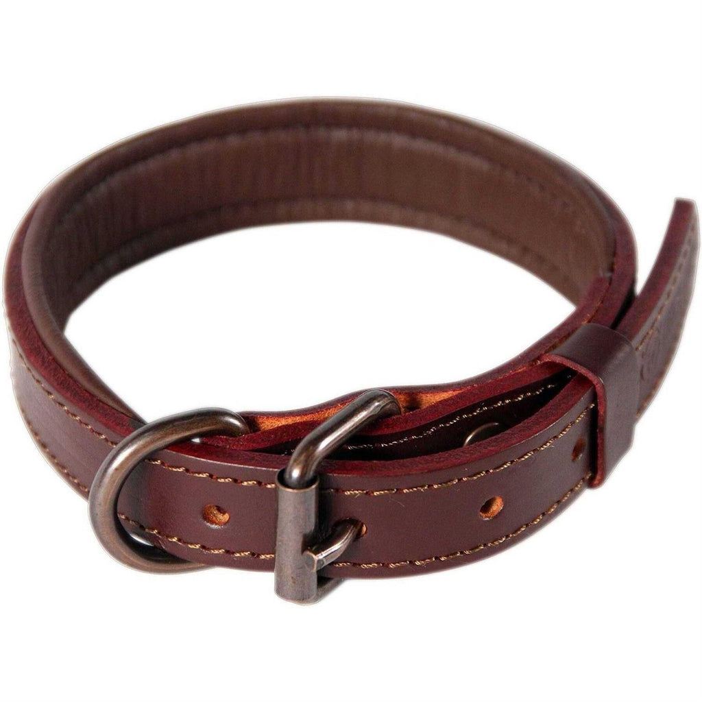 Padded Full Grain Leather Dog Collar M1116
