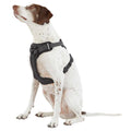 Ultra-Reflective Dog Harness S359