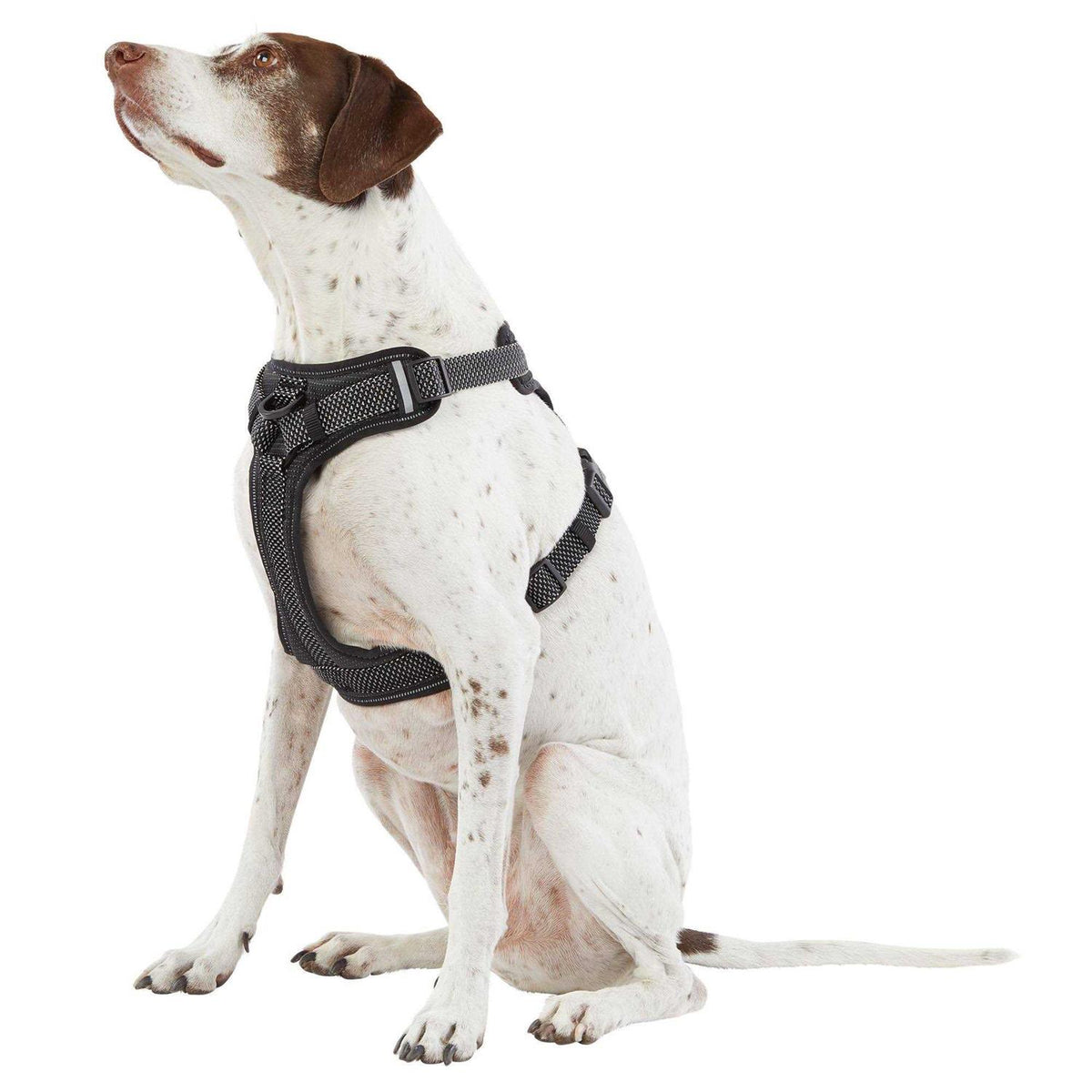 Ultra-Reflective Dog Harness S359