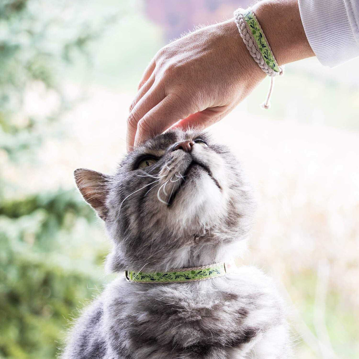 Cat Collar Breakaway I6341