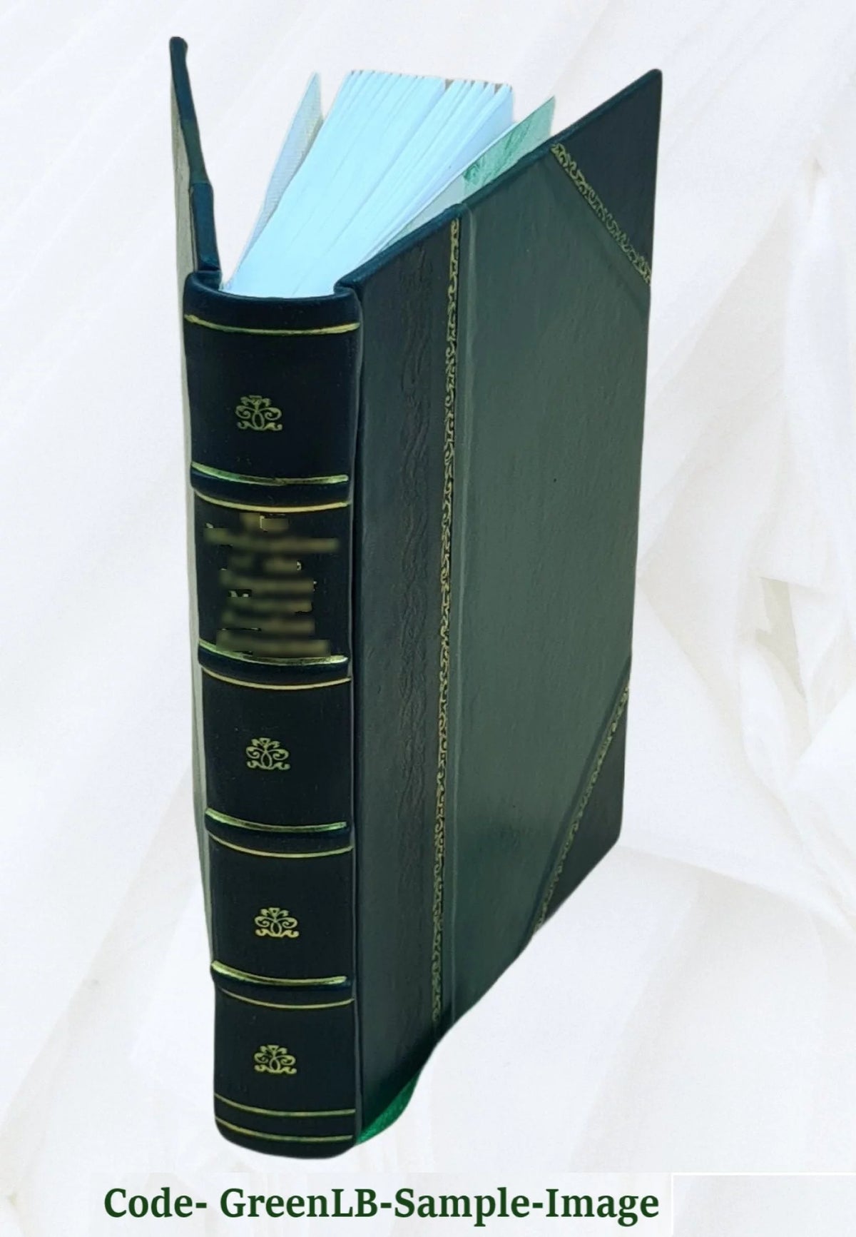 Leather Bound Encyclopedia A646643