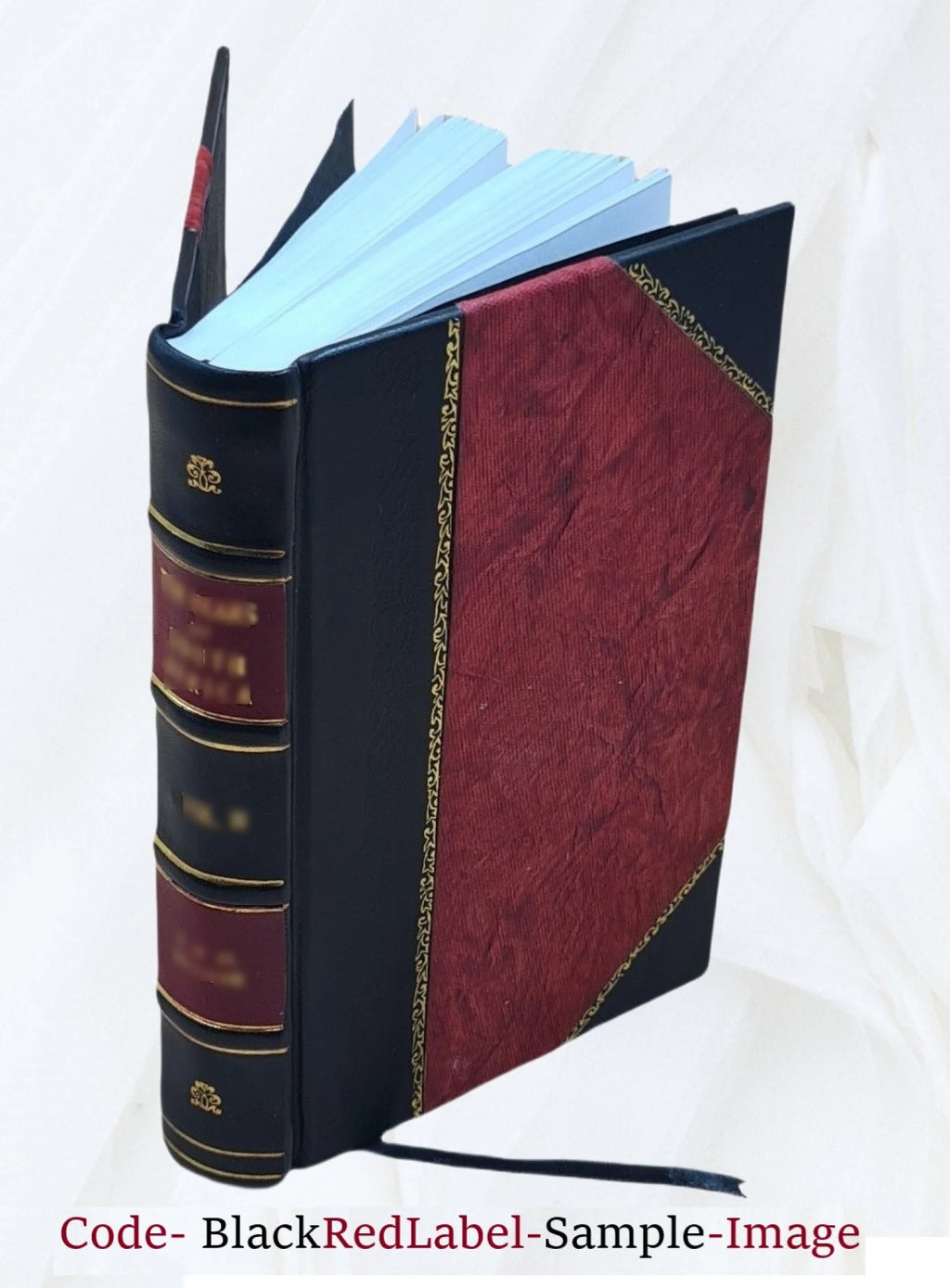 Leather Bound Encyclopedia A646643