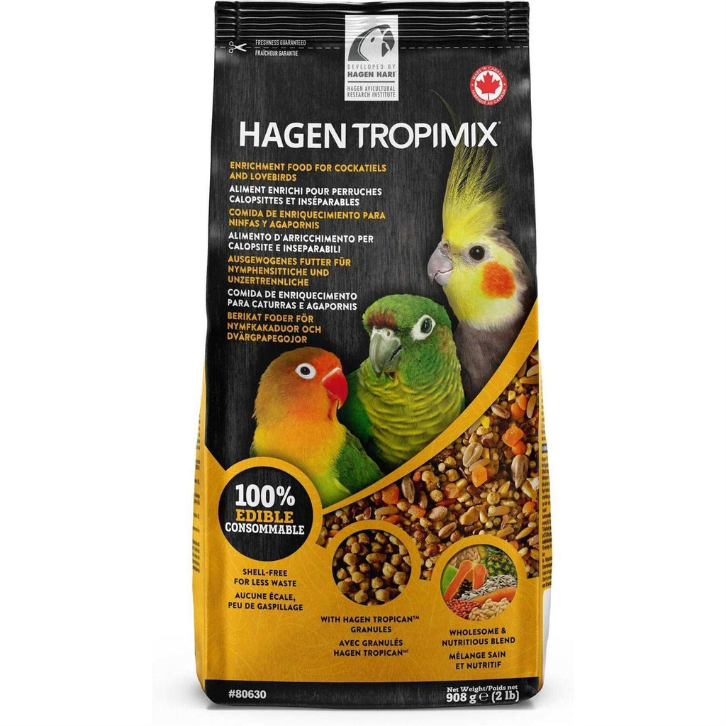 Cockatiel Lovebird M41279