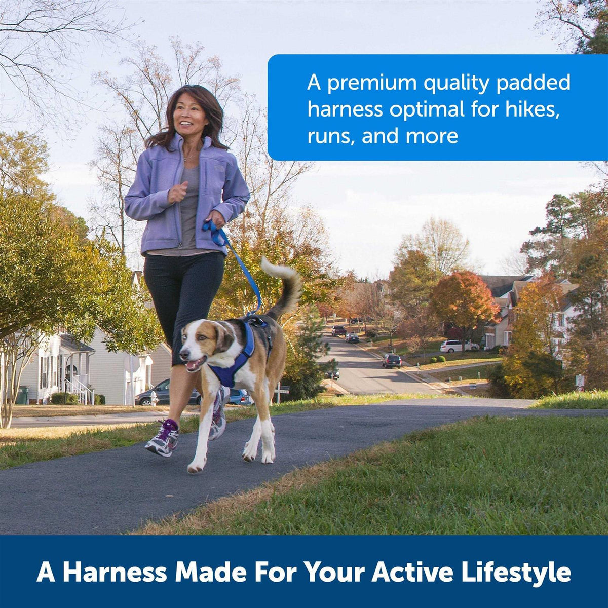 Dog Harness D8406