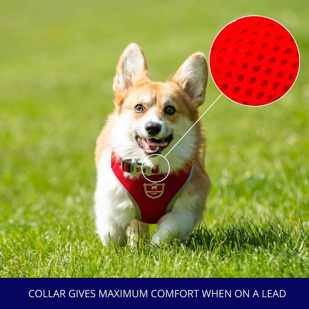 Mesh Dog Collar J805128