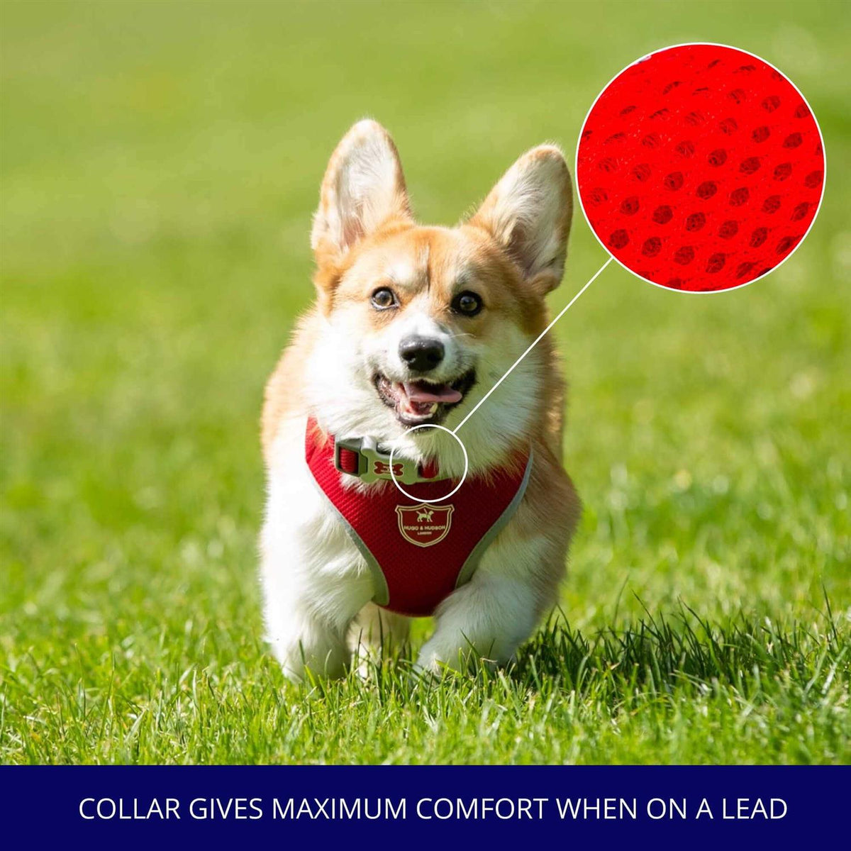Mesh Dog Collar J805128