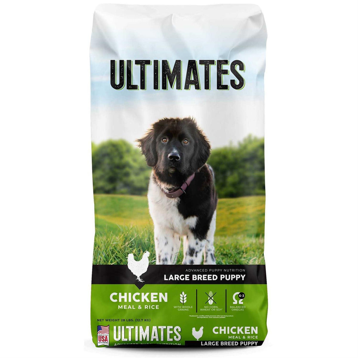 Large Breed Puppy Chicken Meal & Rice Dog Food G888563